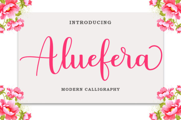 Aluefera Script Font for Elegant Branding