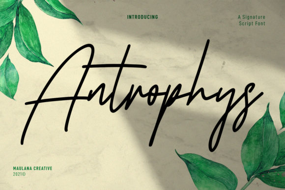 Antrophys Script Typeface Review
