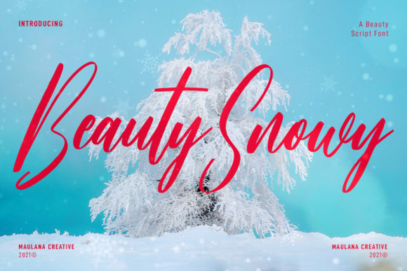 Beauty Snowy Script Typeface for Digital Brands