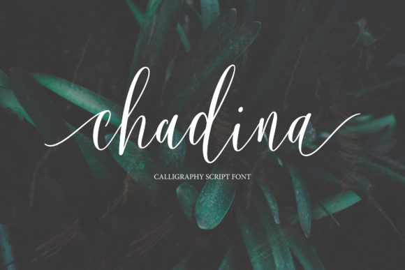Chadina Script: A Romantic Typeface for Modern Campaigns