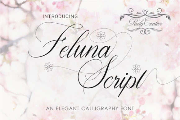 Feluna Script: The Modern Handwritten Typeface for Marketers