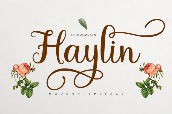 Haylin Script: The Elegant Typeface for Digital Brands