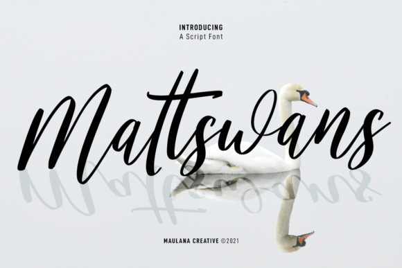 Mattswans Script: A Designer’s Review for Campaigns