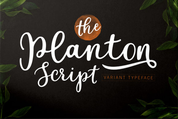 Planton Script: A Handwritten Typeface for Branding