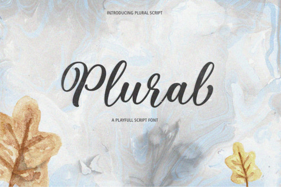 Plural Script Typeface for Editorial Design