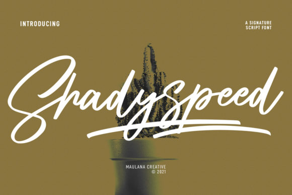 Shadyspeed Script Font for Modern Maker Branding