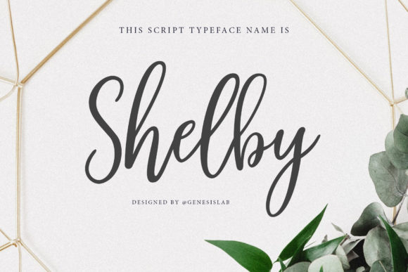 Shelby Script: A Modern Typeface for Branding