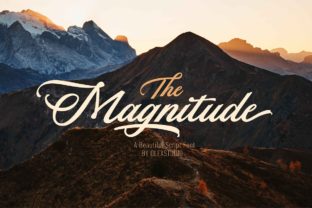 The Magnitude Font for Vintage Business Branding